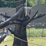 phoca_thumb_m_vlet km 19 Fotogalerie